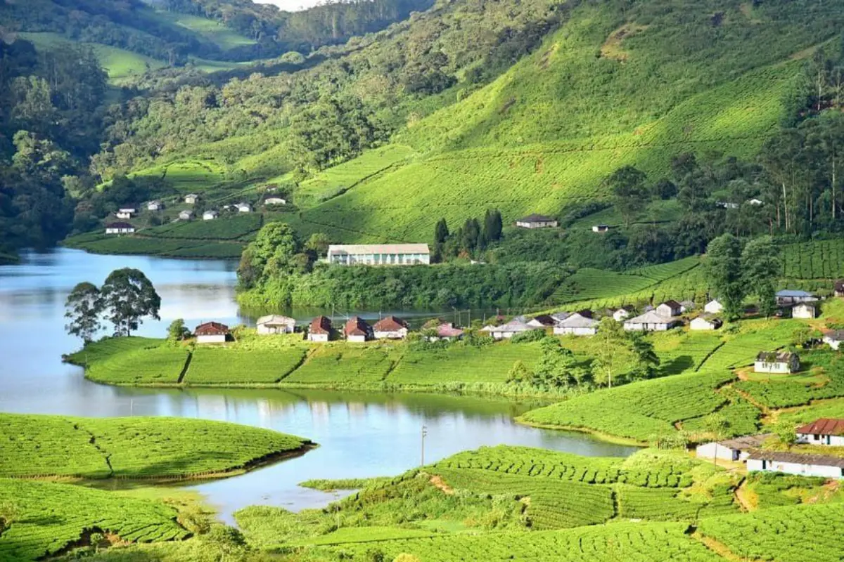 Package for Munnar, Thekkadi, Alleppey