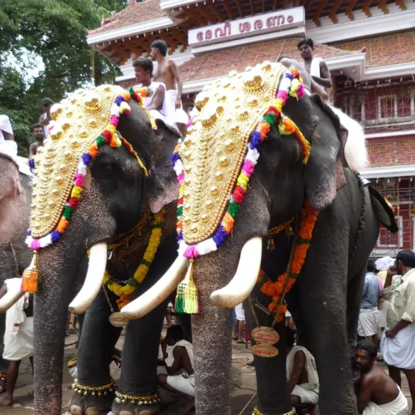 Kerala