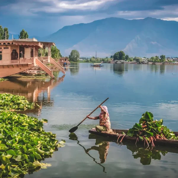Kashmir