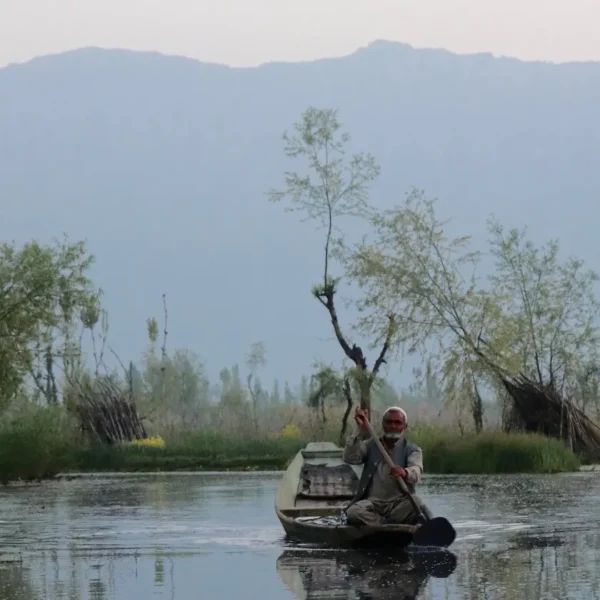 Kashmir