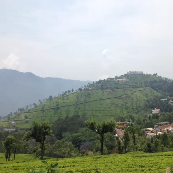 Ooty